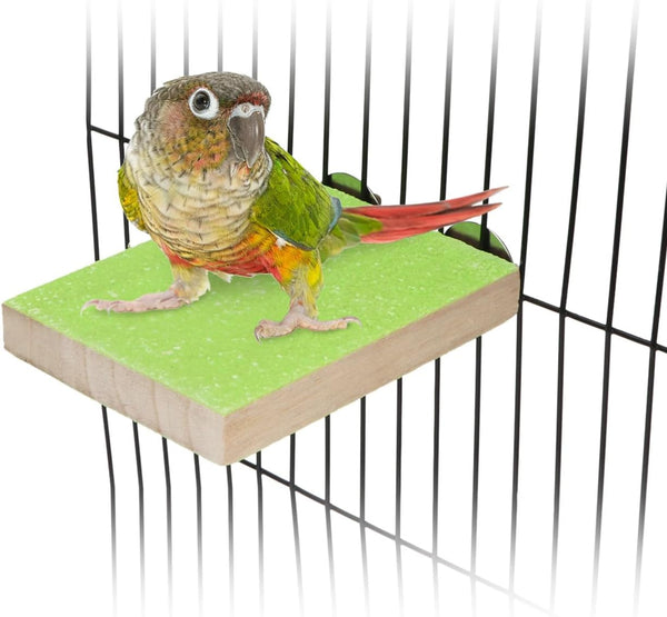 Hypeety Colorful Bird Perch Stand Platform - Natural Wood Paw Grinding Clean Cage Toy for Parrots