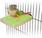 Hypeety Colorful Bird Perch Stand Platform - Natural Wood Paw Grinding Clean Cage Toy for Parrots