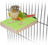 Hypeety Colorful Bird Perch Stand Platform - Natural Wood Paw Grinding Clean Cage Toy for Parrots
