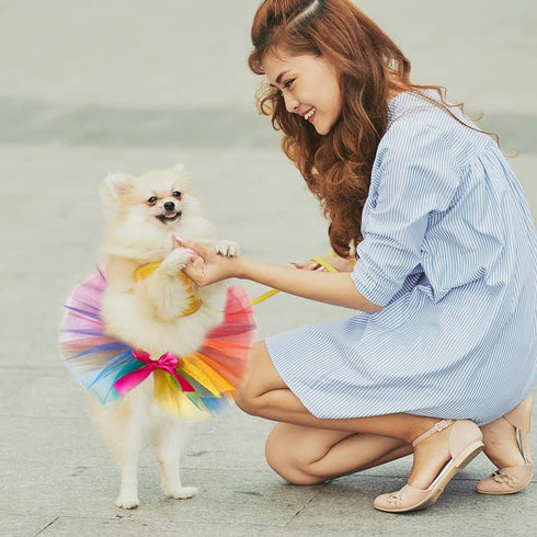 Pride Month Dogs Cats Costume Skirt, Gay Pride Rainbow Adjustable Pet Scarf Collars, Colorful Tutu Costume Accessories