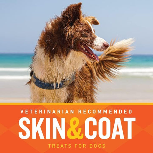 VetIQ Skin and Coat Supplement for Dogs, Maintains Healthy Skin and Shiny Coat, Hickory Smoke Flavor, 60 Count