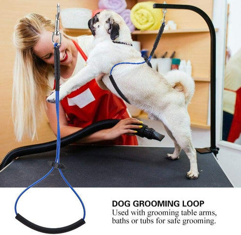 Dog Grooming Loop - Single Noose Hoop Restraint Loop for Pet Table Arm or Bath Tub