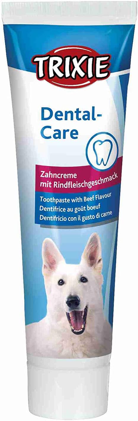 Toothpaste with Beef Flavour by Trixie (helps if dogs like the taste!)