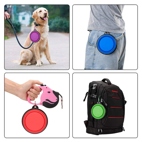 2 Pack Large Size Collapsible Dog Bowl, Food Grade Silicone, Portable Travel Bowl (Blue & Green)
