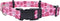 Coastal Pet SecureAway Flea Collar Protectors - Adjustable Protective Dog & Puppy Collar - Multi Paws, 1" x 18-26"