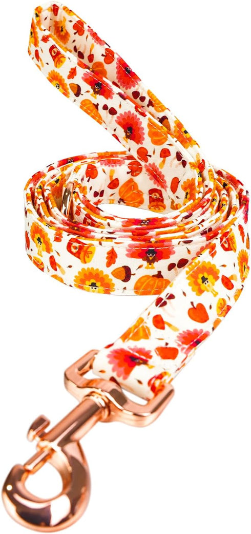 Dog Leash with Pumpkin and Turkey Pattern, Durable Stylish Thanksgiving Pet Leash for Daily Walking, Available in