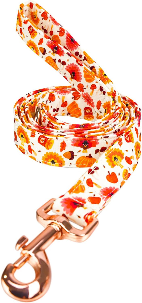 Dog Leash with Pumpkin and Turkey Pattern, Durable Stylish Thanksgiving Pet Leash for Daily Walking, Available in