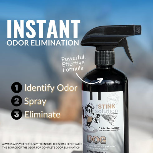 Dog Odor Eliminator for Home, Furniture, Carpet & More, 2 Bottles 16 oz (Pomegranate) for Feces, Vomit, Must & Urine