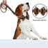 Dog Collar with Bow, Adjustable Cotton & Webbing Detachable Bowtie Dog Collars and Leash for Small Medium Large Dogs
