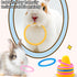 5 Rabbit Training Rings Toy Interactive Educational Stacking Rings Random Colors Puzzle Toys for Small Animal Bird