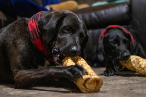 Redbarn All-Natural Large Beef Cheek Rolls for Dogs, Chicken & Carrot Glazed - 4 Pack, Grain-Free Chew Treat
