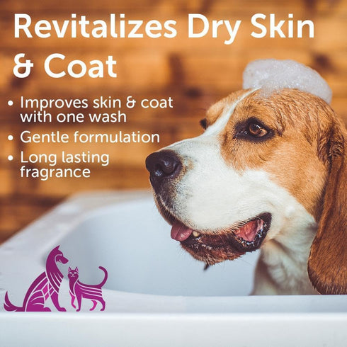 Nootie Pet Shampoo for Sensitive Skin, Revitalizes Dry Skin & Coat, Natural Ingredients, Soap & Paraben Free