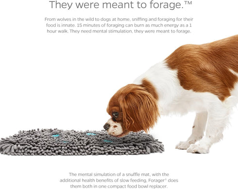 12") Pet Parents Forager Snuffle Mat with SoftSnout & Non-Slip Backing, Slow Feeder for Large & Small Dogs (Meadow