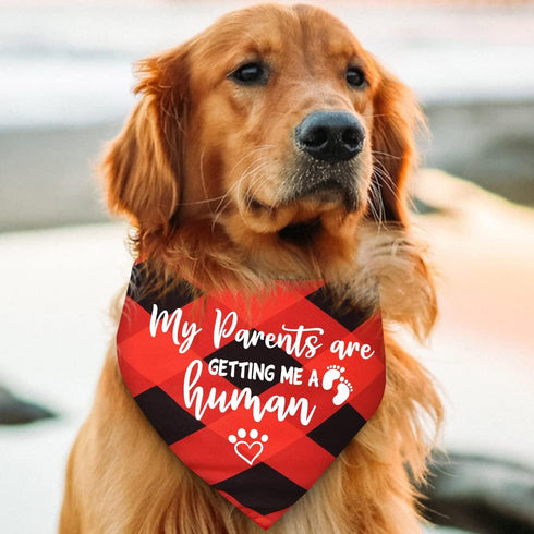 My Parents are Getting Me a Human, Plaid Dog Bandana, Pregnancy Announcement Photo Prop for Dog Lovers, Pack of 2