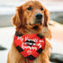 My Parents are Getting Me a Human, Plaid Dog Bandana, Pregnancy Announcement Photo Prop for Dog Lovers, Pack of 2