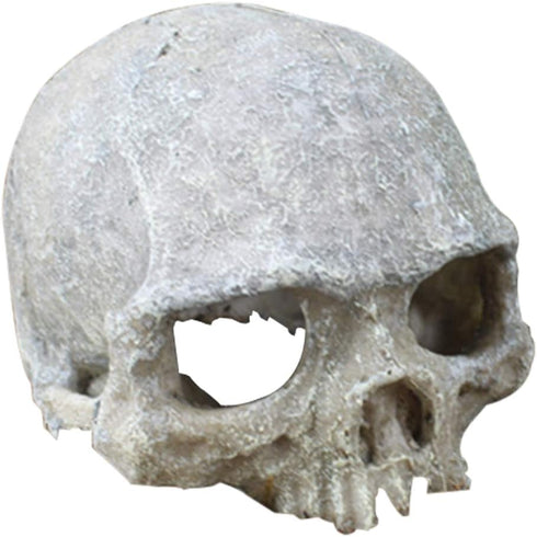 Hewnda Aquarium Decor, Resin Artificial Head Skeleton Decoration for Aquarium Otaru Landscape