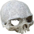 Hewnda Aquarium Decor, Resin Artificial Head Skeleton Decoration for Aquarium Otaru Landscape