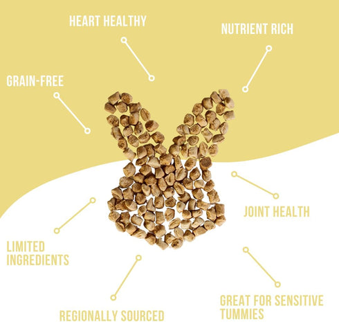 Just Beef Freeze Dried Dog Treats, USA Sourced, Human-Grade, All Natural, Grain Free - 3 oz