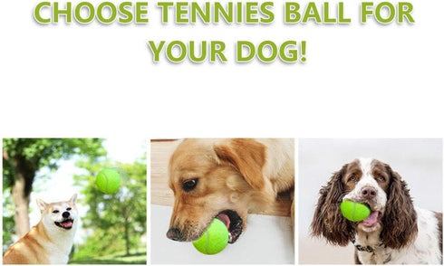 BESTHLS 16 Pack Pet Ball for Dog Small 2inch Tennis Balls for Tiny Small Dogs, Fetching Exercise & Training