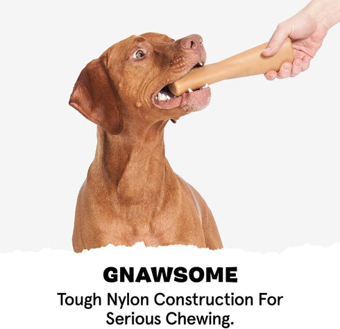 Barkbox Super Chewer Tough Dog Chew Toys for Aggressive Chewers, Dental Stimulating (Bacon Bone - Small)