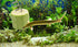 Fish Tank Vegetable Feeder,Aquarium Vegetarian Feeder,Loach pleco Feeder,screwcumber pleco feeder,Bottom Sinking Fish Feeder,Malawi Cichlid Snail Feeder- 5PCS..