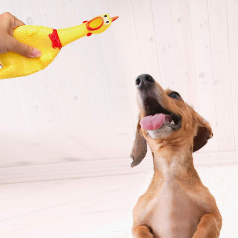 LEGEND SANDY 3 Pack Screaming Chicken Dog Toys, Durable Yellow Rubber Squawking Chickens
