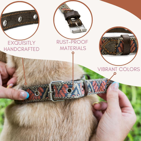 Western Dog Collar - Aztec Southwest Leather Design for Small Medium Large Dogs - Collar para Perros (Medium, Bronze