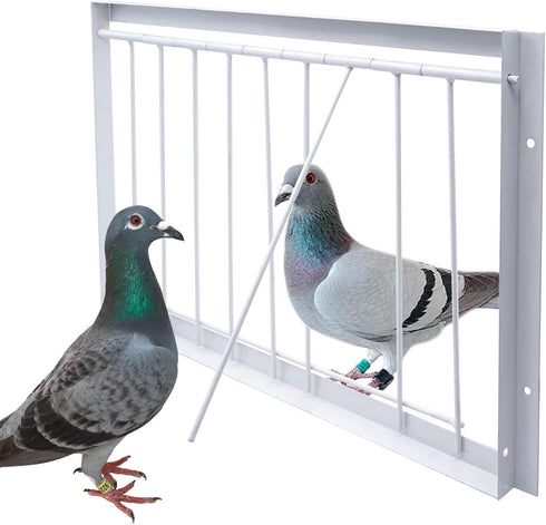 15.7in Pigeon Cage Door, One Way Entrance Bird T-Trap for Racing Pigeon Breeding Supply