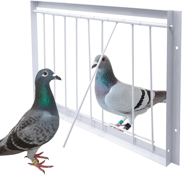 15.7in Pigeon Cage Door, One Way Entrance Bird T-Trap for Racing Pigeon Breeding Supply