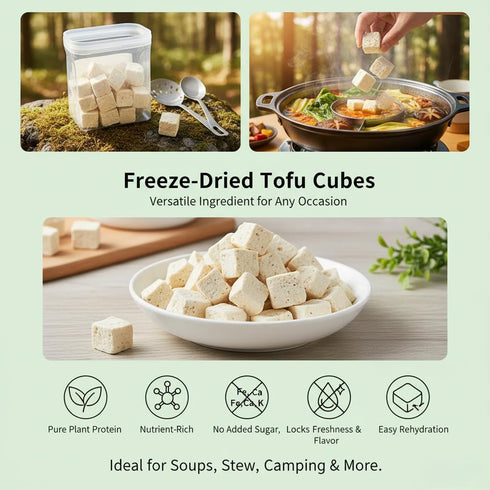 H2ONDBQF 6 oz Freeze-Dried Tofu Cubes High Protein Dehydrated Tofu Instant Vegan Protein for Ramen Toppings, Miso Soup