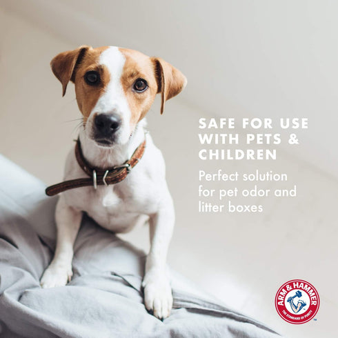 Arm & Hammer for Pets Air Care - Calming Bamboo Charcoal Air Purifying Bag in Lavender Vanilla Scent, 17.6 oz