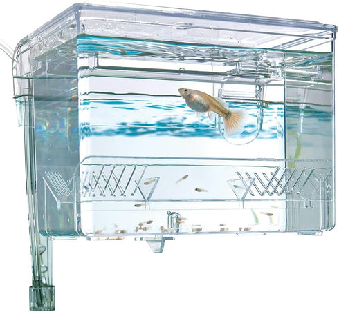 Fluval Medium Multi-Chamber Holding and Breeding Box