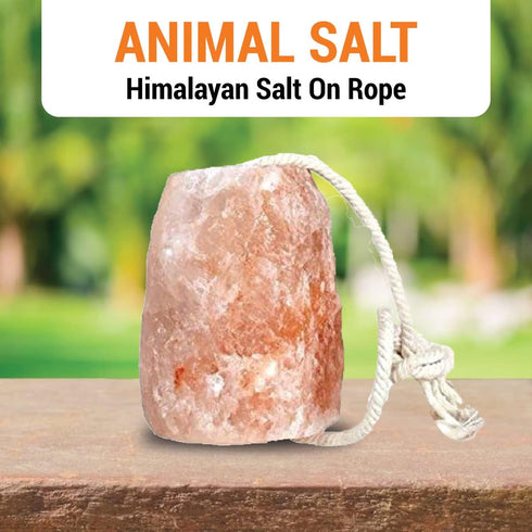 18 LBs, (4 Himalayan Pink Salt Salt Licks for Animals Licking Block for Horses, Cows, Deer, and Other Livestock - Rope