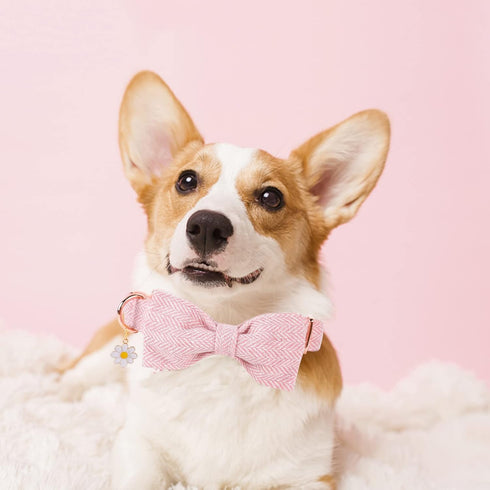 Elegant little tail Herringbone Pink Dog Collar with Bow, Durable Cotton Bowtie Collar for Large Dogs
