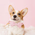 Elegant little tail Herringbone Pink Dog Collar with Bow, Durable Cotton Bowtie Collar for Large Dogs