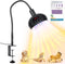 TFNN Heat Lamp for Chickens with Holder200W-350W-500W Reptile Heating Lamp with UVA UVB