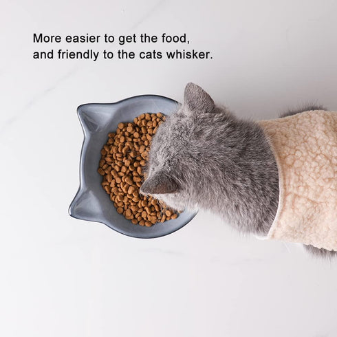 Nihow Elevated Cat/Dog Bowls: 6.25 Inch Ceramic Raised Food & Water Bowl Set for Small Dogs and Cats - Elegant Gray