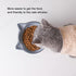Nihow Elevated Cat/Dog Bowls: 6.25 Inch Ceramic Raised Food & Water Bowl Set for Small Dogs and Cats - Elegant Gray