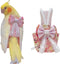 Barn Eleven Bird Flight Suits Diapers, Parrot Diapers for Monk Parakeets, Cockatiels, Parrot Clothes