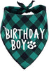 Birthday Boy Dog Bandana in Green