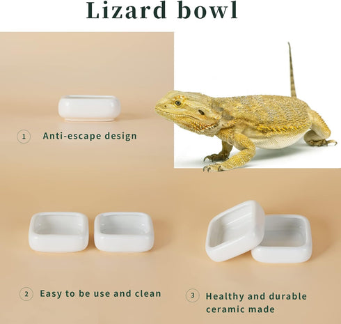 Reptile Food Bowls -Ceramic Square Reptile Water Food Dish, Pet Food Bowl for Lizards, Young Bearded Dragons, Small Snakes, Gecko Tortoise Spider (White, Small 2-Pack)