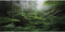 AWERT Foggy Forest Terrarium Background, Green Tree Reptile Habitat Background, Tropical Rainforest Aquarium (48x24