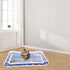 Summer Water-Filled Pet Cooling Mat for Cats and Dogs Inflatable Sensory Play Mat with Tropical Fish Design PVC Water
