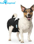(3 Pack) Paw Inspired Washable Dog Diapers | Reusable Cloth Doggy Diapers for Female Small, Medium, Large Size Dogs