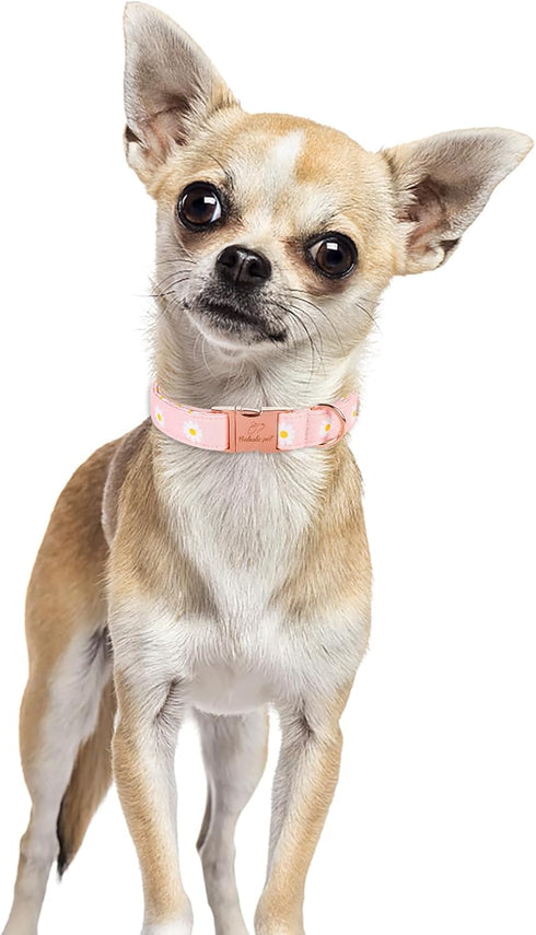 Cotton Dog Collar for Small Dogs, Adjustable Cute Boy Girl Collars with Metal Buckle (Baby Pink Daisy, S)