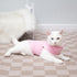 EXPAWLORER Soft Cat Sweater, Pink Medium, Warm Kitten Clothes, Fall and Winter Pullover Design, Fleece Sweatshirt for