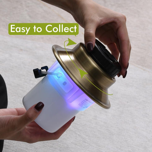 SMARTERIOR 5 Rechargeable LED Camping Lights & Lantern, Waterproof Lamp with Modes RGB String Lights, Adjustable