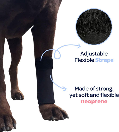 Labra Dog Front Leg Compression Wrap for Hygromas, Lick Granulomas, Pressure Sores, Large/Extra Large