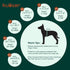 Kuoser Recovery Suit for Dogs Cats - After Surgery Professional Pet Recovery Shirt, Prevent Licking
