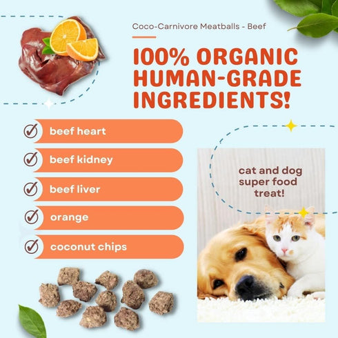 CocoTherapy 3 Pack of Coco-Canivore Meatballs Dog Treats, Beef, Chicken, Turkey Variety